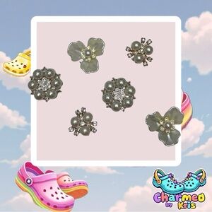 23. Silver croc charm Set